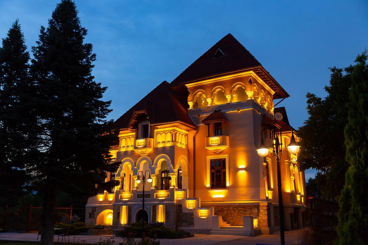 Отель Casa Danielescu Тыргу-Жиу Экстерьер фото