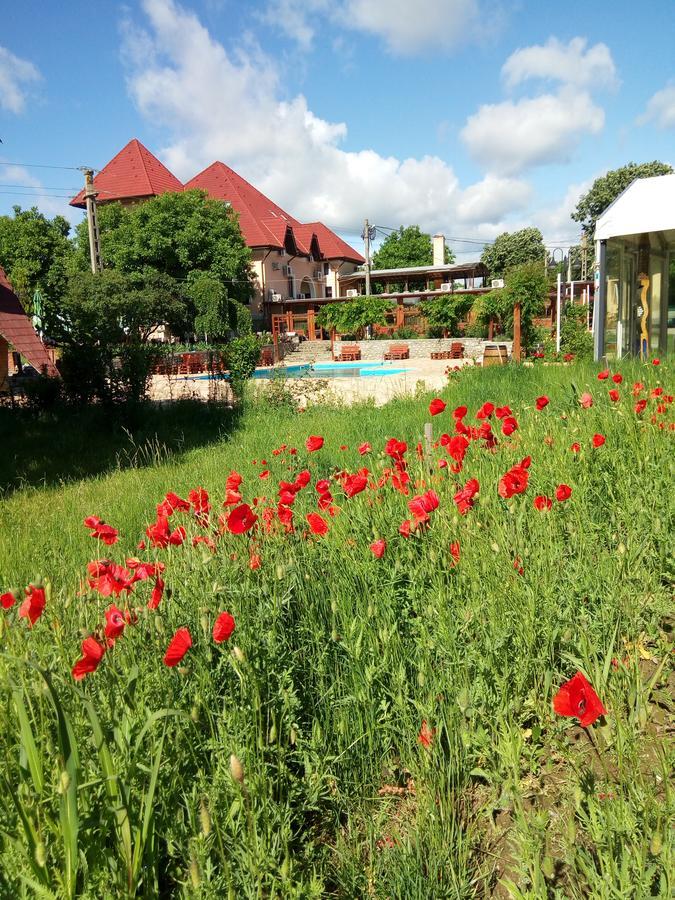 Отель Casa Danielescu Тыргу-Жиу Экстерьер фото