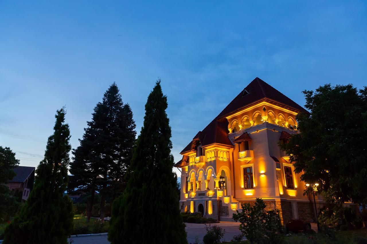 Отель Casa Danielescu Тыргу-Жиу Экстерьер фото