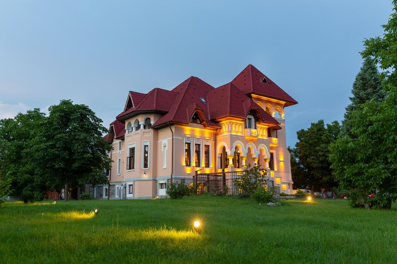 Отель Casa Danielescu Тыргу-Жиу Экстерьер фото